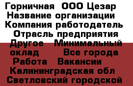 Горничная. ООО Цезар › Название организации ­ Компания-работодатель › Отрасль предприятия ­ Другое › Минимальный оклад ­ 1 - Все города Работа » Вакансии   . Калининградская обл.,Светловский городской округ 